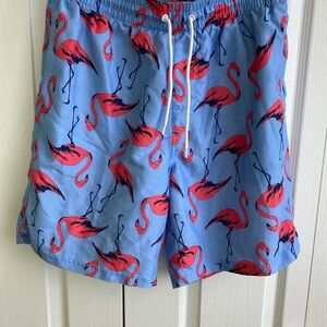 Men's Flamingo Swim Shorts, size M